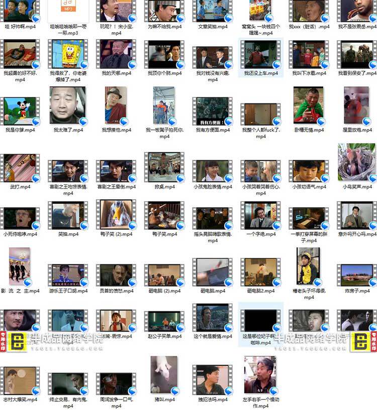 图片[5]-短视频热门搞笑表情包mp4素材爆笑滑稽r转场自媒体剪辑大全无水印-松子软件