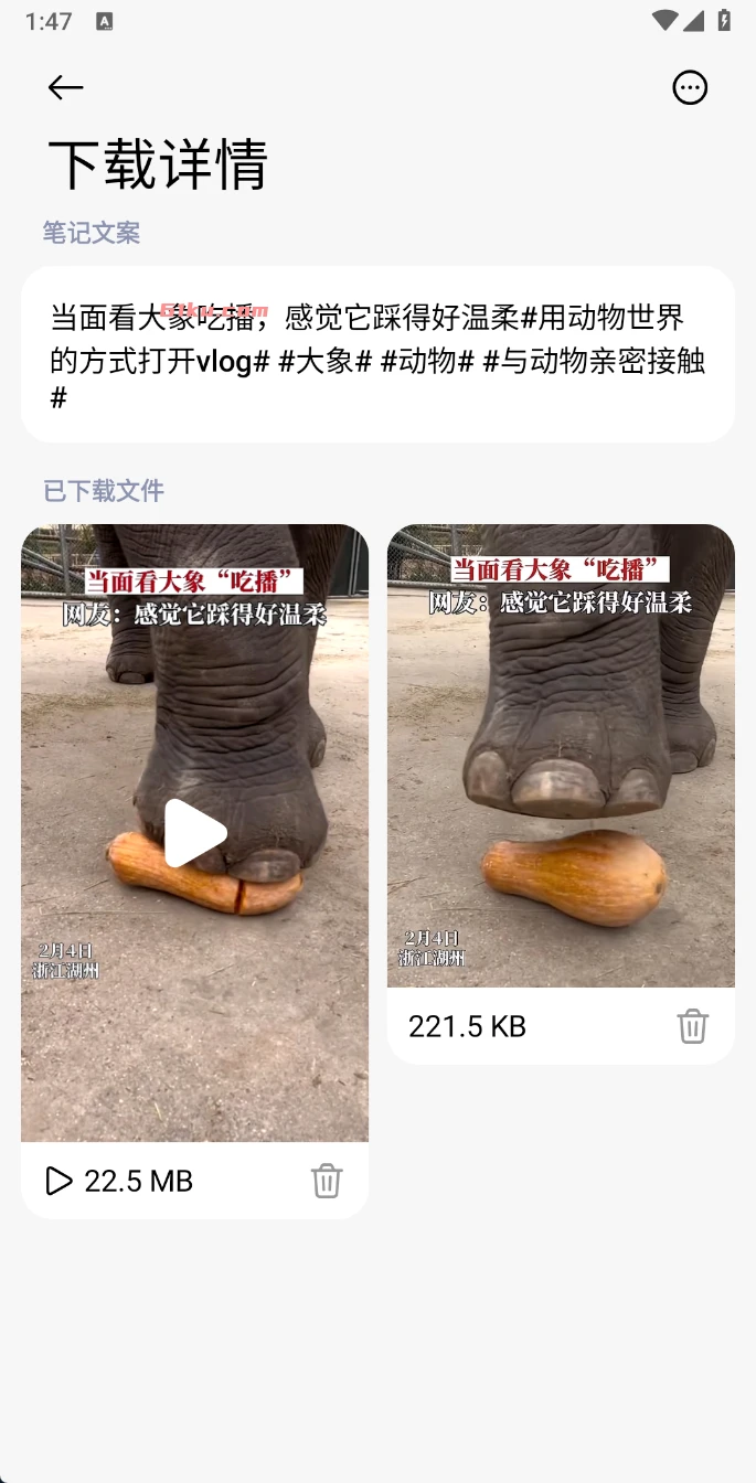 XHS Downloader v1.3.5 小红书无水印原图下载器,图片、视频下载,文案提取