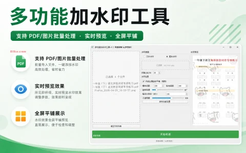 多功能加水印工具 v1.1 支持 PDF/图片批量处理、实时预览、全屏平铺