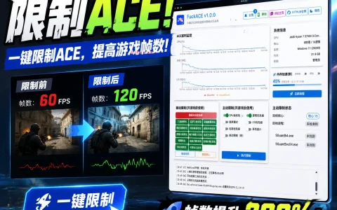 FuckACE v1.0 优化所有使用ACE的游戏的免费开源免安装工具