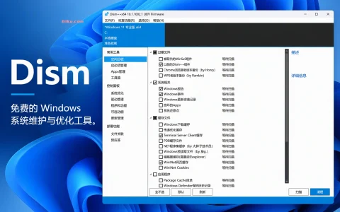 Dism++ v10.1.1002.1B免费的 Windows 系统维护与优化工具