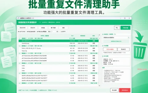 批量重复文件清理助手 v1.0